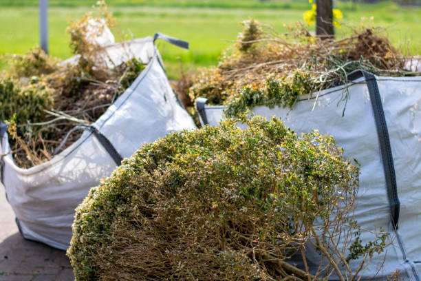 Best Construction Debris Removal  in Blackshear, GA